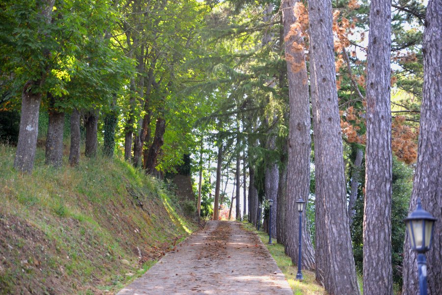 viale di ingresso al castello