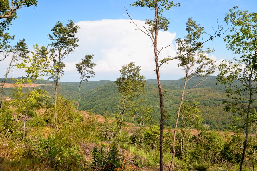 vista verso la Riserva Naturale di Monte Rufeno