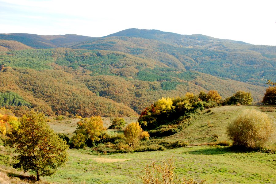 Trevinano in autunno