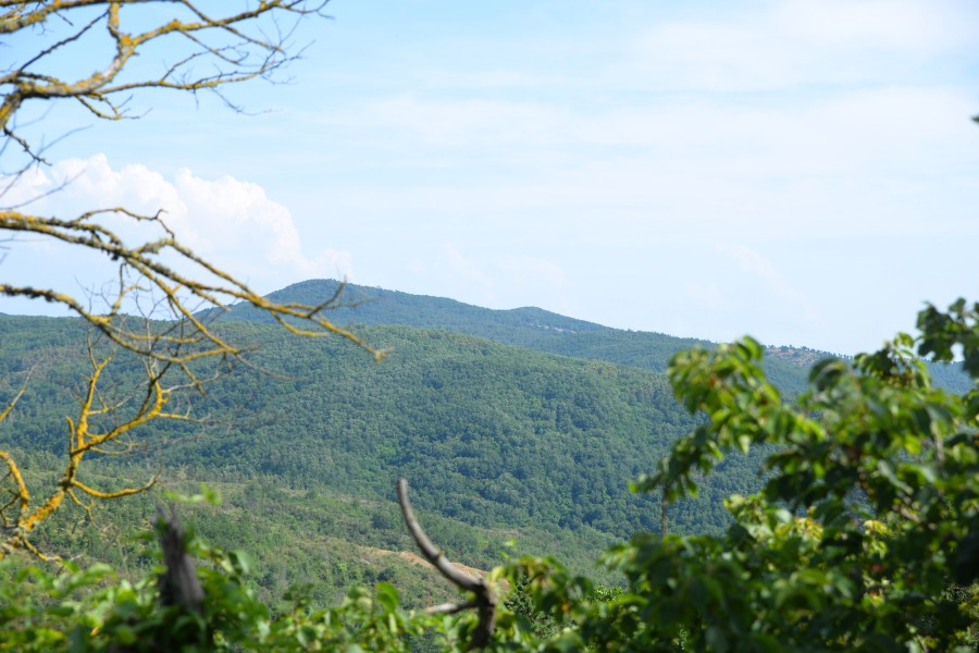 Riserva Naturale di Monte Rufeno