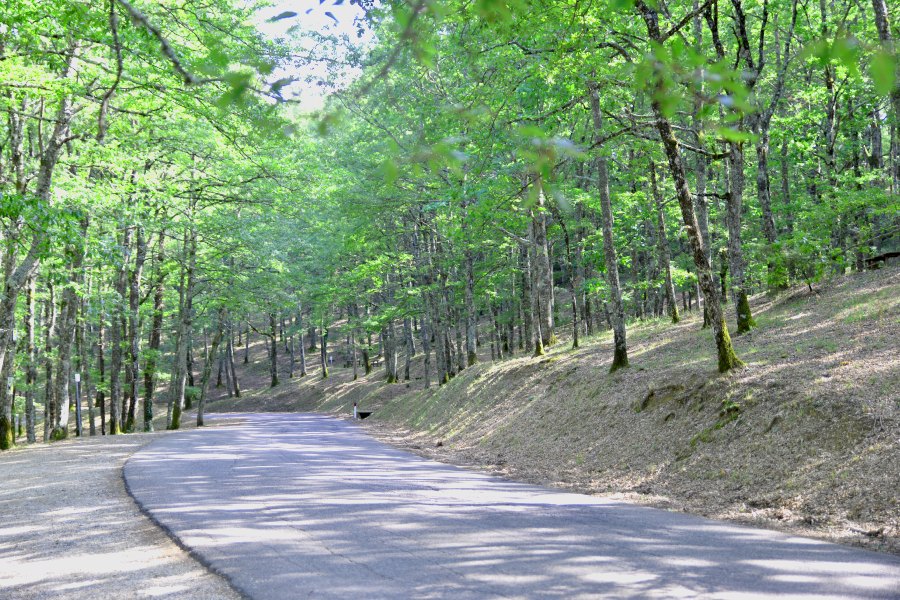 arrivo a Villalba