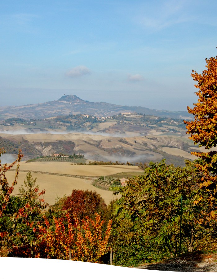 Adiacente alla Riserva Naturale di Monte Rufeno