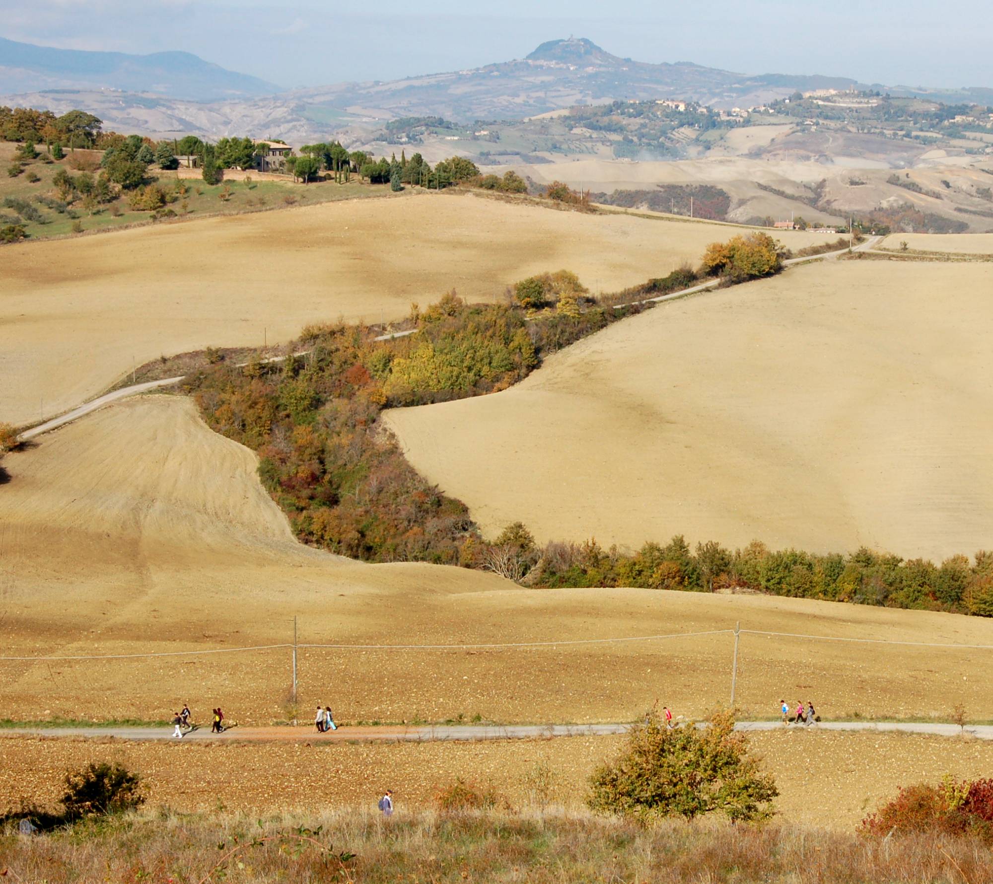 feste e tradizioni a Trevinano